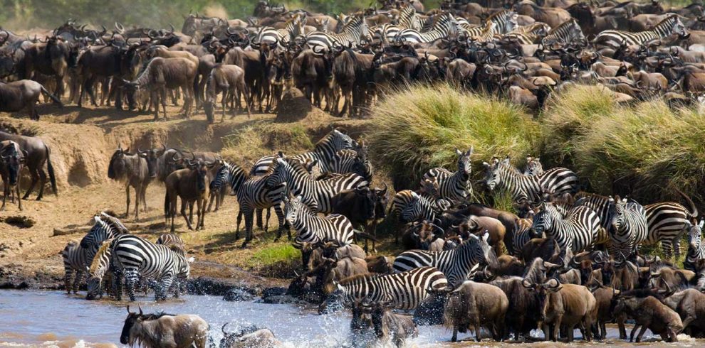 26 Days Discover Tanzania, South and Northern Circuits wildlife Safari
