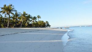 6-Days-Zanzibar-East-Coast-Beach-Stay