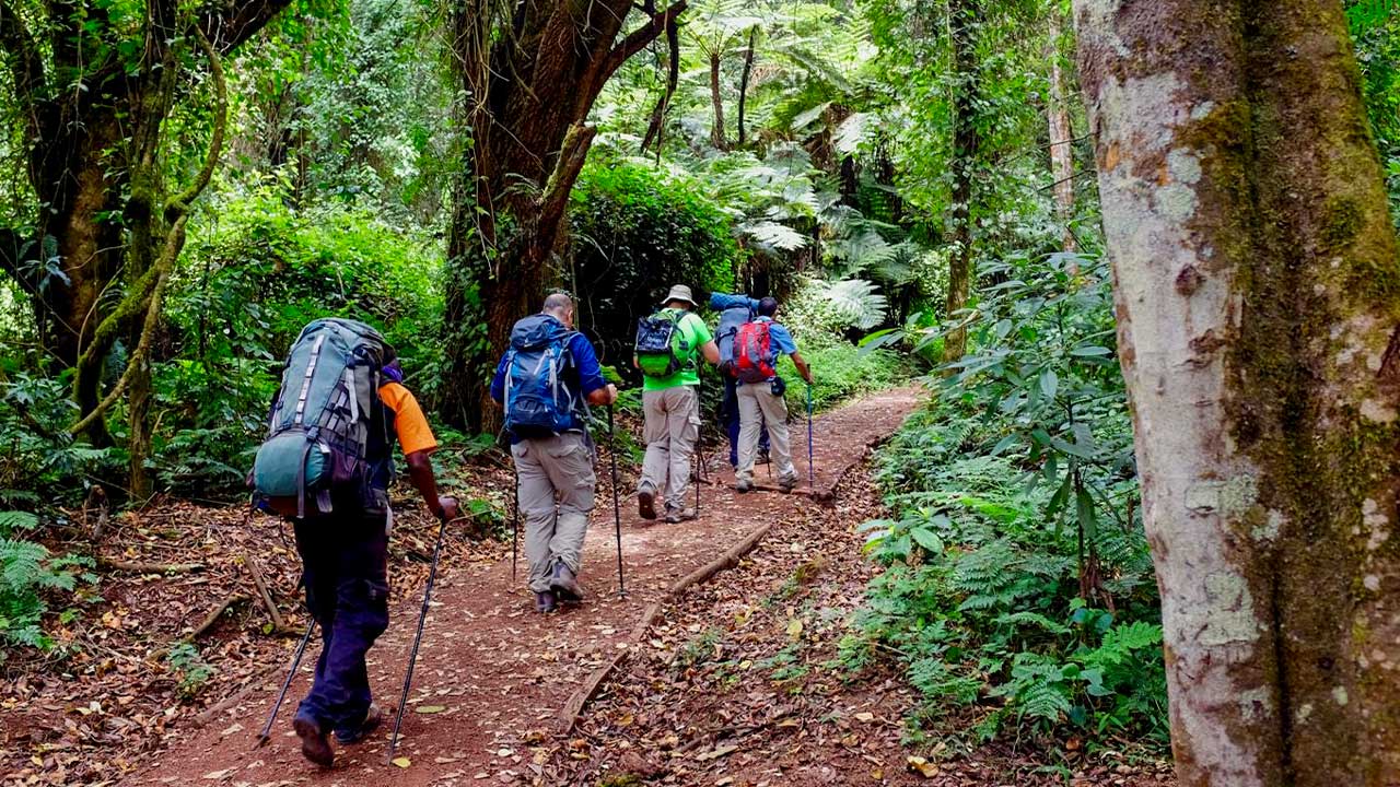 7-days-Climb-Kilimanjaro-Mountain-via-Shira-Route